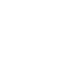 安全領域